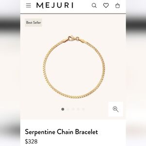 NWOT Mejuri Serpentine Chain Bracelet